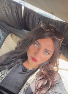 Mistress Perry - Acompañantes transexual in Cairo Photo 27 of 30