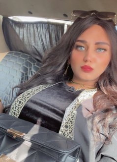 Mistress Perry - Acompañantes transexual in Cairo Photo 29 of 30