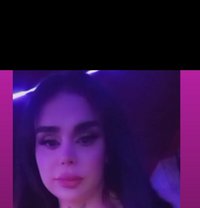 Mistress Pro - Transsexual escort in Beirut