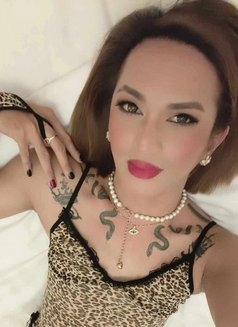 Mistress QUEEN ASIA TOP ESCORT - Transsexual escort in Hong Kong Photo 26 of 30