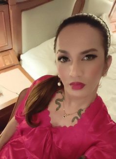 Mistress QUEEN ASIA TOP ESCORT - Transsexual escort in Hong Kong Photo 27 of 30