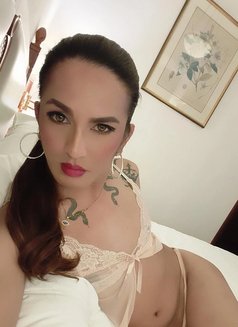 Mistress QUEEN ASIA TOP ESCORT - Acompañantes transexual in Hong Kong Photo 29 of 30