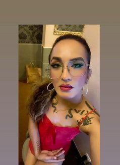 Mistress QUEEN ASIA TOP ESCORT - Transsexual escort in Bangkok Photo 29 of 30