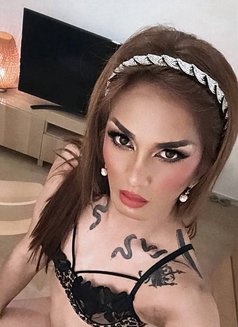Mistress QUEEN ASIA TOP ESCORT - Transsexual escort in Hong Kong Photo 23 of 30