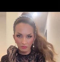 Mistress QUEEN ASIA TOP ESCORT - Transsexual escort in Hong Kong
