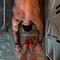 MISTRESS QUEEN BOTH🦮 - Transsexual escort in Phuket Photo 4 of 24