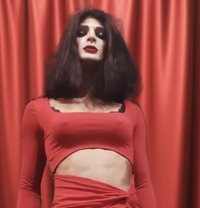 Mistress Saniya From Lahore - Transsexual escort in Lahore