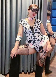 Mistress Sexy Sofia 🇹🇭 - escort in Riyadh Photo 1 of 7
