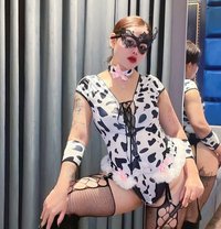 Mistress Sexy Sofia 🇹🇭 - escort in Riyadh Photo 1 of 7