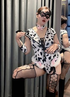 Mistress Sexy Sofia 🇹🇭 - escort in Riyadh Photo 2 of 7