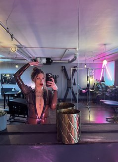 Mistress Sloane - dominatrix in Nicosia Photo 2 of 13
