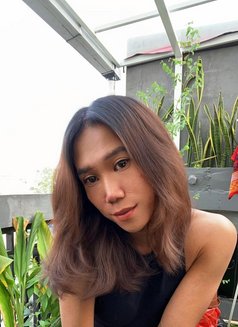 MISTRESS STRONGEST Transsexual Escort - Acompañantes transexual in Bali Photo 22 of 22
