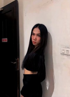 MISTRESS STRONGEST Transsexual Escort - Transsexual escort in Bali Photo 25 of 25