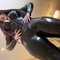 Mistress Susahn - escort in Amsterdam Photo 2 of 4