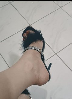 Mistress Tasha in Dubai.. - Dominadora in Dubai Photo 9 of 9