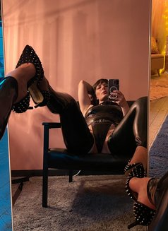 Mistress Tiffany - escort in Amsterdam Photo 5 of 5