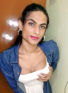 Mistress Top 8.7" Sherin - Acompañantes transexual in Bangalore Photo 22 of 28