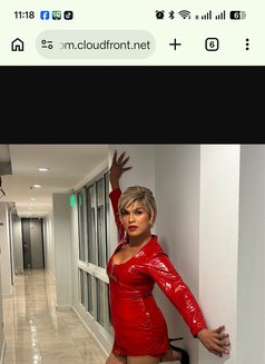 Mistress Velena - Acompañantes transexual in Bangkok Photo 5 of 6