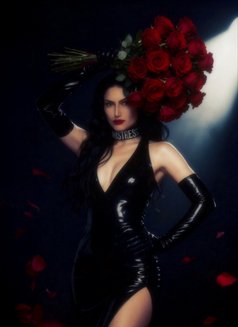 MISTRESS VIXEN NOIR - BDSM - Dominadora in Berlin Photo 26 of 26
