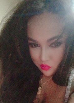 Mistress Vuloptous Jen Lee - Transsexual escort in Bangkok Photo 6 of 6