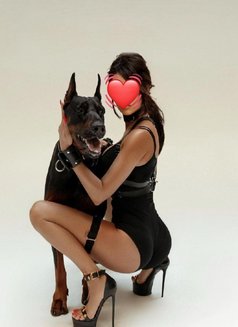 MISTRESS YANA - Dominadora in Kuala Lumpur Photo 4 of 4