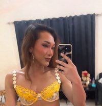 Mistress Zie (Asian Goddess) - Transsexual escort in Ajmān Photo 1 of 26