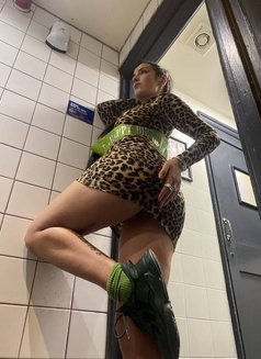 Mistress Elsa - Dominadora in Lisbon Photo 4 of 5