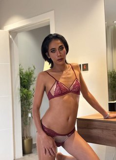 MistressNorah BigCock With POP - Transsexual escort in Dammam Photo 13 of 13