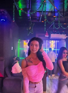 Mistu New Shemale Escort - Transsexual escort in Kolkata Photo 8 of 8