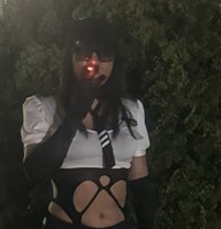 Misty - Acompañantes transexual in Vancouver