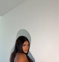 Mitch - escort in Dubai
