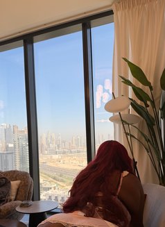 Mitch - escort in Dubai Photo 4 of 5