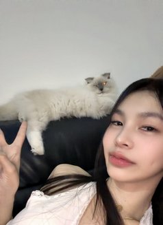 Mitchhhyy - escort in Siem Reap Photo 8 of 10