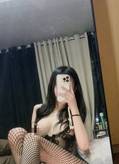 Mitchhhyy - escort in Taipei Photo 4 of 11