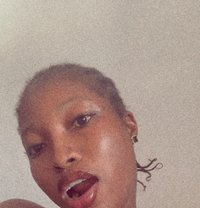 Mitty - Transsexual escort agency in London