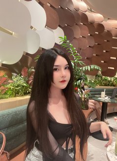 Miu Miu Lady Boy - Agencia de acompañantes transexuales in Da Nang Photo 12 of 16
