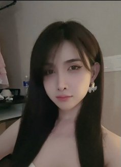Miumiu19xxxx - Transsexual dominatrix in Ho Chi Minh City Photo 1 of 1
