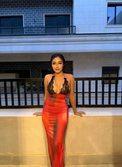 Miw Mew - puta in Riyadh Photo 12 of 12