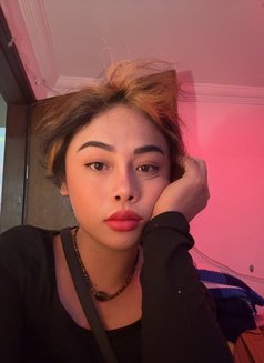 Miya - Acompañantes transexual in Kuwait Photo 5 of 5