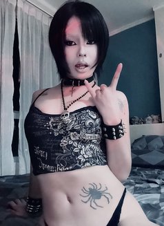 Miyabi - Male escort in Pattaya Photo 5 of 6