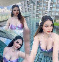 Miyabi - Transsexual escort in Bangkok