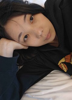 Miyu - escort in Seoul Photo 11 of 12