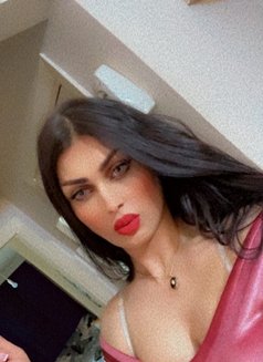 Mlk - Transsexual escort in İstanbul Photo 4 of 14