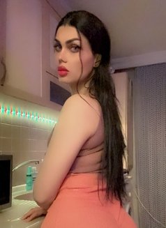 Mlk - Transsexual escort in İstanbul Photo 11 of 14