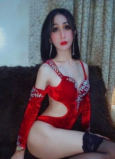 Merlares. [BDSM,3SOME,And More] - Transsexual escort in Nonthaburi Photo 2 of 23