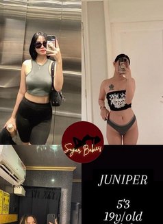 Mnl Sugarbabies - Agencia de putas in Manila Photo 5 of 21