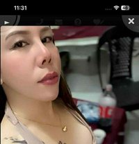 Mocha - Transsexual escort in Hong Kong