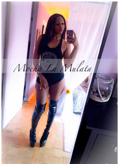 Mocha La Mulata - escort in Regina Photo 9 of 18