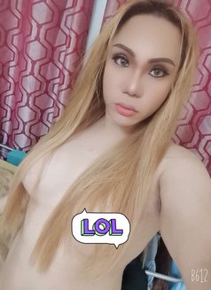 Massage therapist B2B - Transsexual escort in Khobar Photo 1 of 5