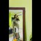 Model Maina - Transsexual escort in Hyderabad